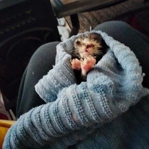 Meet your Posher, Beverly